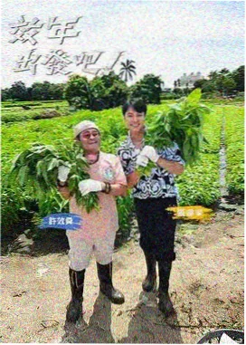 综艺节目海报：群像叙事短剧集
